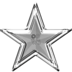 Servicio de Mantenimiento de Contenidos Silver